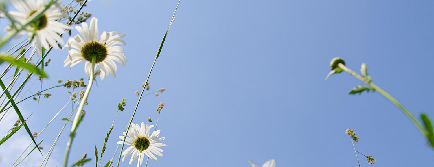 vacanze e weekend di pasqua' per famiglie, coppie, amici, gruppi
